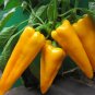 50 PCS Yellow Pepper Hot Chili Horn Pepper Vegetable Seeds