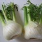 100 PCS Renewable Fennel Vegetable Organic Seeds