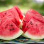 50 PCS New Super Big Green Red Seedless Watermelon Organic Seeds