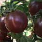 100 PCS Chocolate Cherry Tomato Plant Seeds