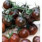 100 PCS Chocolate Cherry Tomato Plant Seeds