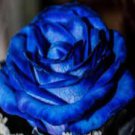 50 PCS Rare Heirloom 3-Flower Blue Damask Rose Bush Flower Seeds