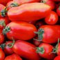 20 PCS Red Banana Tomato Seeds Heirloom Tomato Vegetables