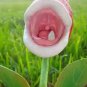 100 PCS Insect-catching Plant Enchantress Carnivorous Bonsai Seeds