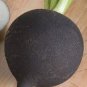 100 PCS Heirloom Rare Black Small Fruit Radish with White meat Seeds