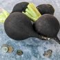 100 PCS Heirloom Rare Black Small Fruit Radish with White meat Seeds