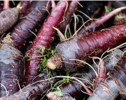 100 PCS Rare Organic Dark Purple Edible Carrot Seeds