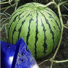 10 PCS Rarest African Blue Watermelon NON-GMO Seeds