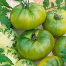 100 PCS Rare Heirloom Arbuznyi Big Green Tomato with Dark Green Line Organic Seeds