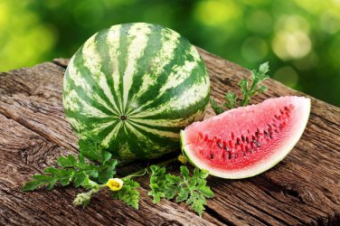 20 PCS Green Skin Long Sweet Red Watermelon 'Wu Gu' Organic Seeds