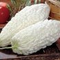 10 PCS White Ultra Rare Bitter Melon Bitter Gourd Beauty Seeds