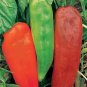 100 PCS Heirloom Long Giant Ox Horn Sweet Pepper Organic Seeds
