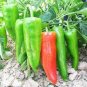 100 PCS Heirloom Long Giant Ox Horn Sweet Pepper Organic Seeds