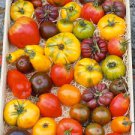 150 PCS Rare Heirloom Mixed 16 Types Tomatoes Seeds 150 PCS Rare Heirloom Mixed 16 Types Tomatoes Seeds