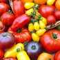 150 PCS Rare Heirloom Mixed 16 Types Tomatoes Seeds