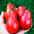 300 PCS Heirloom Red Climbing Pear Cherry Tomato Seeds 300 PCS Heirloom Red Climbing Pear Cherry Tomato Seeds