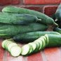 50 PCS Heirloom Autumn Spiny Little Cucumber Seeds