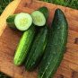 50 PCS Heirloom Autumn Spiny Little Cucumber Seeds