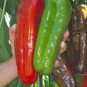 100 PCS Heirloom Giant Marconi Pepper Organic Seeds