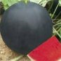 40 PCS Super Black Skin Red Seedless Watermelon Organic Seeds
