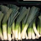 500 PCS Red Root Leek Seeds