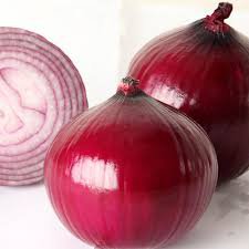 500 PCS Premium Red Onion Seeds - Purple Skin Variety