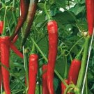 200 PCS Flame-kissed Delight: Exquisite Red Cayenne Seeds 200 PCS Flame-kissed Delight: Exquisite Red Cayenne Seeds
