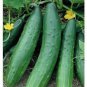 40 PCS Crisp White Cucumber with Spiky Vines Seeds