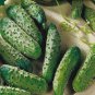 40 PCS Crisp White Cucumber with Spiky Vines Seeds