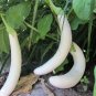 300 PCS White Long Eggplant Seeds: Pure White Skin and Flesh