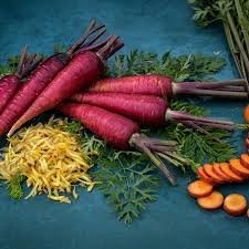 500 PCS Purple Dragon Carrot Absolutely Unique Bird's Nest Carota Seed