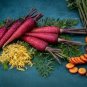 500 PCS Purple Dragon Carrot Absolutely Unique Bird's Nest Carota Seed
