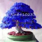 100 PCS Bonsai Rhododendron Flower Easy to Grow Azalea Bonsai Seeds