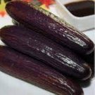100 PCS Purple Cucumber Seeds Garden Farm Vegetable Plants Seeds