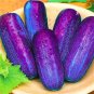100 PCS Purple Cucumber Seeds Garden Farm Vegetable Plants Seeds