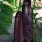 100 PCS Purple Cucumber Seeds Garden Farm Vegetable Plants Seeds