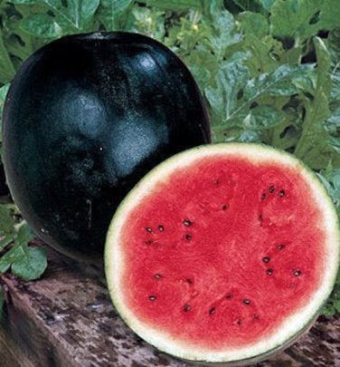 50 PCS Black Diamond Watermelon Seeds Black Skin Red Inside Fruits Thin Skin