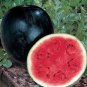 50 PCS Black Diamond Watermelon Seeds Black Skin Red Inside Fruits Thin Skin