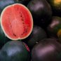 50 PCS Black Diamond Watermelon Seeds Black Skin Red Inside Fruits Thin Skin