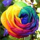 200 pcs Rainbow Rose Seeds Rare Colorful Flower Potted Plant Garden Bonsai