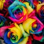 200 pcs Rainbow Rose Seeds Rare Colorful Flower Potted Plant Garden Bonsai