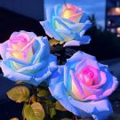 50 pcs Rare Blue Pink Yellow Rose Bush Flower Seeds
