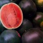 40 pcs Super Black Skin Red Seedless Watermelon 'Landmine' Organic Seed