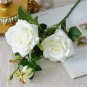 50 PCS Large Light Rose Flower Seeds