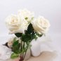 50 PCS Large Light Rose Flower Seeds