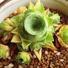 200 PCS Seeds Mountain Rose Succulents Bonsai Plants