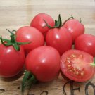 300 PCS Japanese Little Pink Peach of Tomato Seeds 300 PCS Japanese Little Pink Peach of Tomato Seeds