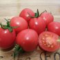 300 PCS Japanese Little Pink Peach of Tomato Seeds