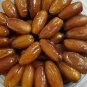 5 PCS Seeds Heirloom New Medjool Date Palm Tree