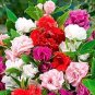 20 PCS Mix Impatiens walleriana 9 Colors Busy Lizzie Balsam Perennial Flower Seeds